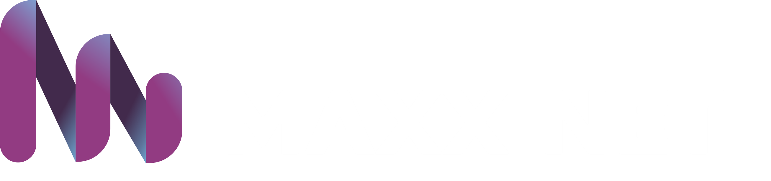 Logo MAXXNET